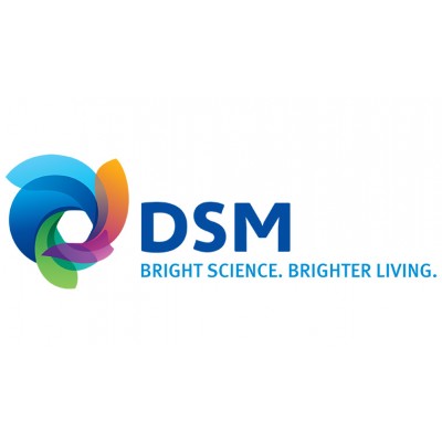 DSM